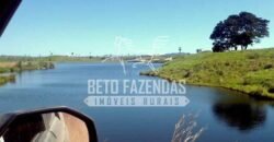 Fazenda Gigante no Pará 59.000 has Porteira Fechada | Cumaru do Norte/ PA Fazenda Gigante no Pará 59.000 has Porteira Fechada | Cumaru do Norte/ PA