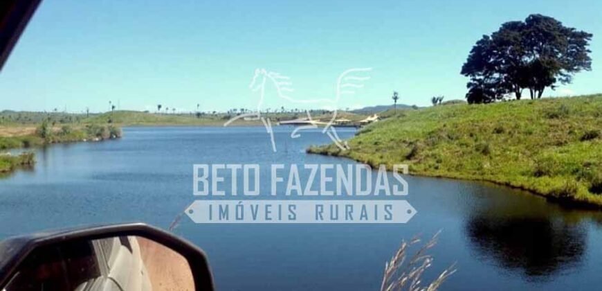 Fazenda Gigante no Pará 59.000 has Porteira Fechada | Cumaru do Norte/ PA Fazenda Gigante no Pará 59.000 has Porteira Fechada | Cumaru do Norte/ PA