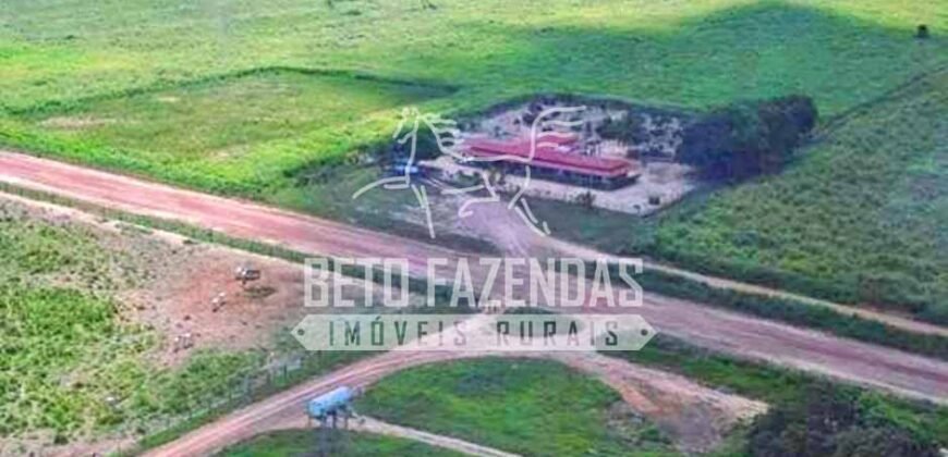 Fazenda Gigante no Pará 59.000 has Porteira Fechada | Cumaru do Norte/ PA Fazenda Gigante no Pará 59.000 has Porteira Fechada | Cumaru do Norte/ PA