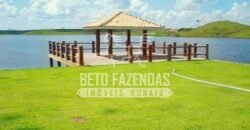 Fazenda Gigante no Pará 59.000 has Porteira Fechada | Cumaru do Norte/ PA Fazenda Gigante no Pará 59.000 has Porteira Fechada | Cumaru do Norte/ PA