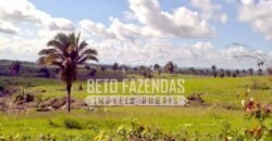 Fazenda Gigante no Pará 59.000 has Porteira Fechada | Cumaru do Norte/ PA Fazenda Gigante no Pará 59.000 has Porteira Fechada | Cumaru do Norte/ PA