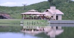 Fazenda Gigante no Pará 59.000 has Porteira Fechada | Cumaru do Norte/ PA Fazenda Gigante no Pará 59.000 has Porteira Fechada | Cumaru do Norte/ PA