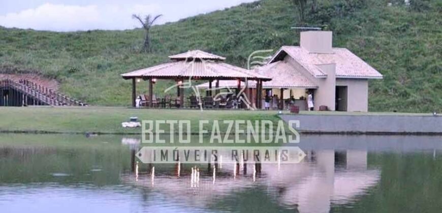 Fazenda Gigante no Pará 59.000 has Porteira Fechada | Cumaru do Norte/ PA Fazenda Gigante no Pará 59.000 has Porteira Fechada | Cumaru do Norte/ PA