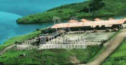 Fazenda Gigante no Pará 59.000 has Porteira Fechada | Cumaru do Norte/ PA Fazenda Gigante no Pará 59.000 has Porteira Fechada | Cumaru do Norte/ PA