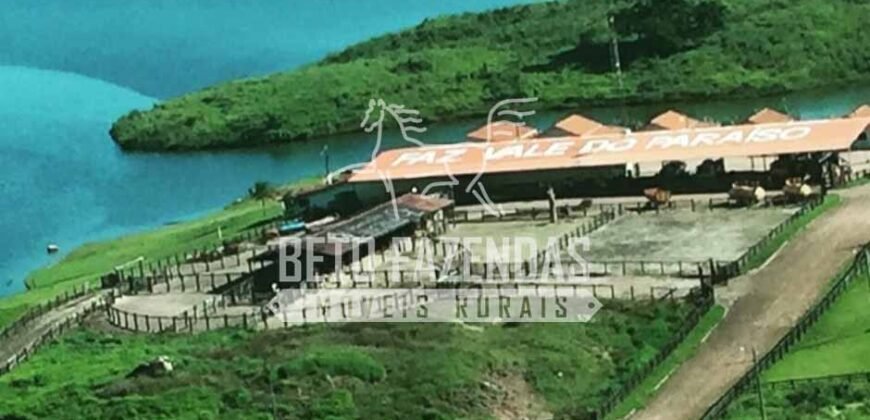 Fazenda Gigante no Pará 59.000 has Porteira Fechada | Cumaru do Norte/ PA Fazenda Gigante no Pará 59.000 has Porteira Fechada | Cumaru do Norte/ PA