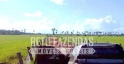 Fazenda Gigante no Pará 59.000 has Porteira Fechada | Cumaru do Norte/ PA Fazenda Gigante no Pará 59.000 has Porteira Fechada | Cumaru do Norte/ PA