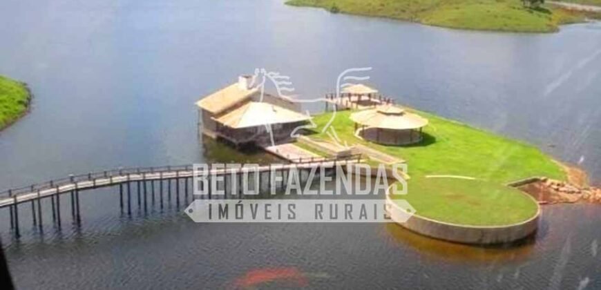 Fazenda Gigante no Pará 59.000 has Porteira Fechada | Cumaru do Norte/ PA Fazenda Gigante no Pará 59.000 has Porteira Fechada | Cumaru do Norte/ PA