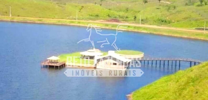 Fazenda Gigante no Pará 59.000 has Porteira Fechada | Cumaru do Norte/ PA Fazenda Gigante no Pará 59.000 has Porteira Fechada | Cumaru do Norte/ PA