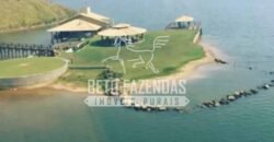 Fazenda Gigante no Pará 59.000 has Porteira Fechada | Cumaru do Norte/ PA Fazenda Gigante no Pará 59.000 has Porteira Fechada | Cumaru do Norte/ PA