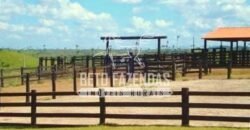Fazenda Gigante no Pará 59.000 has Porteira Fechada | Cumaru do Norte/ PA Fazenda Gigante no Pará 59.000 has Porteira Fechada | Cumaru do Norte/ PA