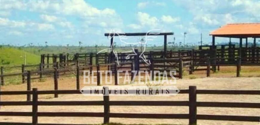 Fazenda Gigante no Pará 59.000 has Porteira Fechada | Cumaru do Norte/ PA Fazenda Gigante no Pará 59.000 has Porteira Fechada | Cumaru do Norte/ PA