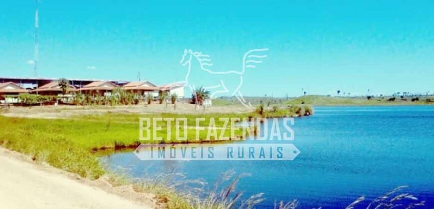 Fazenda Gigante no Pará 59.000 has Porteira Fechada | Cumaru do Norte/ PA Fazenda Gigante no Pará 59.000 has Porteira Fechada | Cumaru do Norte/ PA