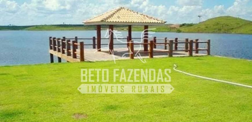 Fazenda Gigante no Pará 59.000 has Porteira Fechada | Cumaru do Norte/ PA Fazenda Gigante no Pará 59.000 has Porteira Fechada | Cumaru do Norte/ PA