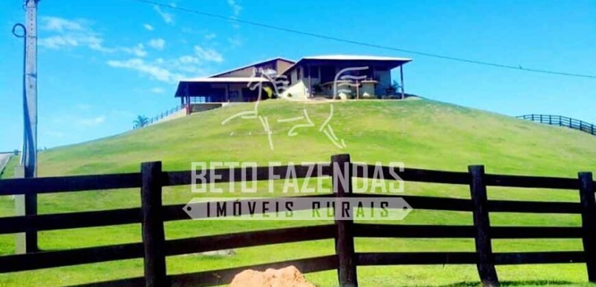 Fazenda Gigante no Pará 59.000 has Porteira Fechada | Cumaru do Norte/ PA Fazenda Gigante no Pará 59.000 has Porteira Fechada | Cumaru do Norte/ PA