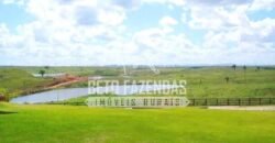 Fazenda Gigante no Pará 59.000 has Porteira Fechada | Cumaru do Norte/ PA Fazenda Gigante no Pará 59.000 has Porteira Fechada | Cumaru do Norte/ PA