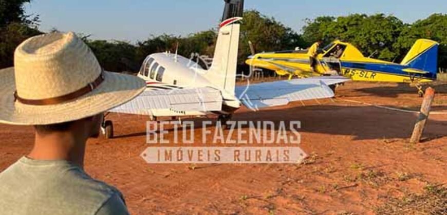 Fazenda 3.500 has à Beira do Rio São Francisco | Manga/ MG Fazenda 3.500 has à Beira do Rio São Francisco | Manga/ MG