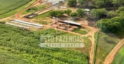 Fazenda 3.500 has à Beira do Rio São Francisco | Manga/ MG Fazenda 3.500 has à Beira do Rio São Francisco | Manga/ MG