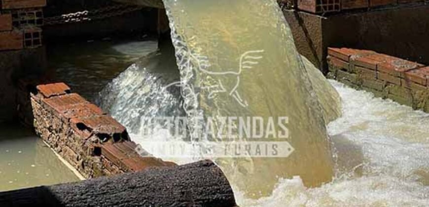 Fazenda 3.500 has à Beira do Rio São Francisco | Manga/ MG Fazenda 3.500 has à Beira do Rio São Francisco | Manga/ MG