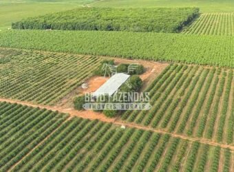 Fazenda 3.500 has à Beira do Rio São Francisco | Manga/ MG Fazenda 3.500 has à Beira do Rio São Francisco | Manga/ MG