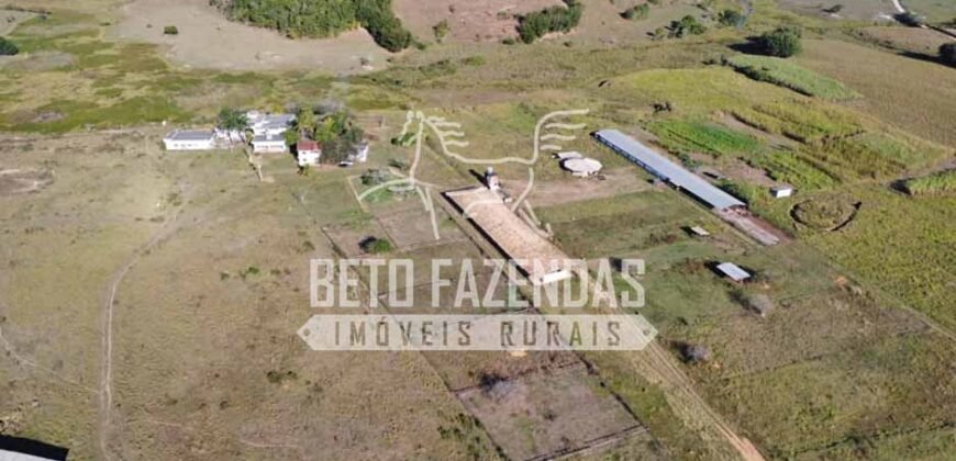 Rancho à venda 06 Alqs. Criação de Cavalos e outros Animais | Macabuzinho/RJ