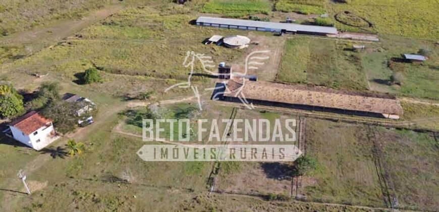 Rancho à venda 06 Alqs. Criação de Cavalos e outros Animais | Macabuzinho/RJ