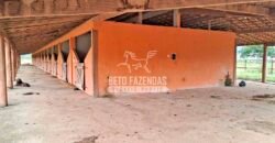 Rancho à venda 06 Alqs. Criação de Cavalos e outros Animais | Macabuzinho/RJ