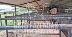 Rancho à venda 06 Alqs. Criação de Cavalos e outros Animais | Macabuzinho/RJ