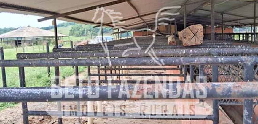 Rancho à venda 06 Alqs. Criação de Cavalos e outros Animais | Macabuzinho/RJ