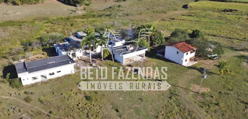 Rancho à venda 06 Alqs. Criação de Cavalos e outros Animais | Macabuzinho/RJ