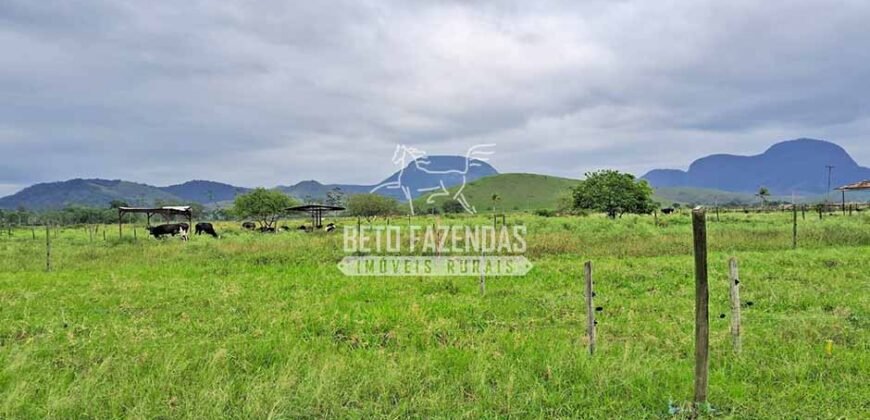 Rancho à venda 06 Alqs. Criação de Cavalos e outros Animais | Macabuzinho/RJ
