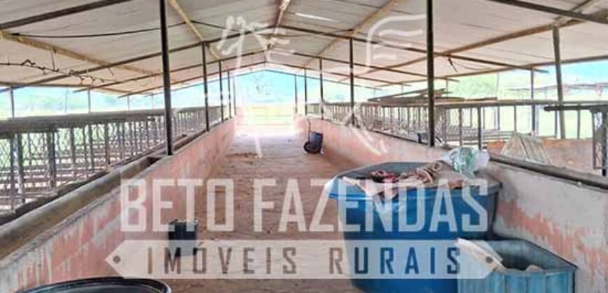 Rancho à venda 06 Alqs. Criação de Cavalos e outros Animais | Macabuzinho/RJ