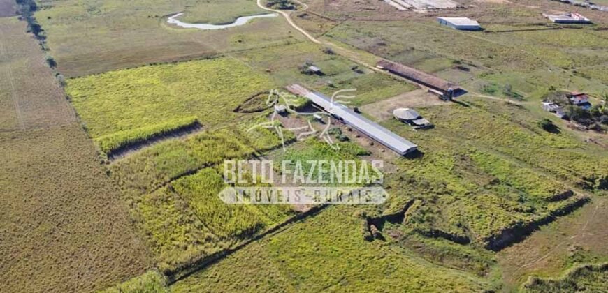 Rancho à venda 06 Alqs. Criação de Cavalos e outros Animais | Macabuzinho/RJ