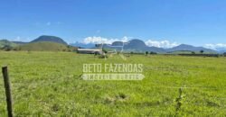 Rancho à venda 06 Alqs. Criação de Cavalos e outros Animais | Macabuzinho/RJ