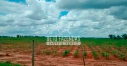 Fazenda à Venda Produtiva de 750 Alqueires à Beira do Rio | Presidente Prudente/SP