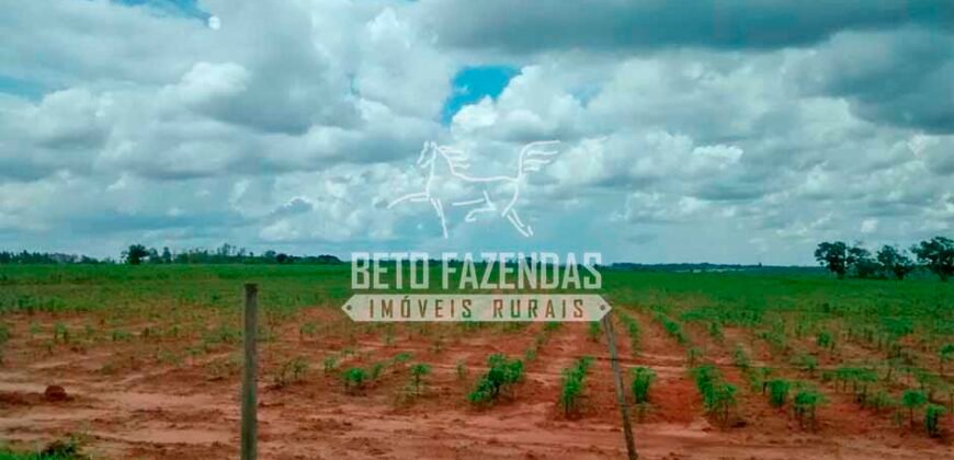 Fazenda à Venda Produtiva de 750 Alqueires à Beira do Rio | Presidente Prudente/SP