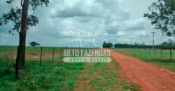 Fazenda à Venda Produtiva de 750 Alqueires à Beira do Rio | Presidente Prudente/SP