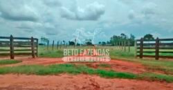 Fazenda à Venda Produtiva de 750 Alqueires à Beira do Rio | Presidente Prudente/SP