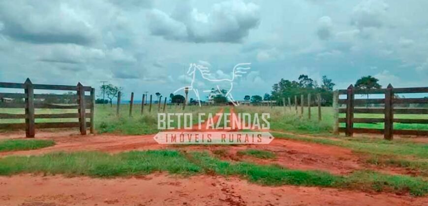 Fazenda à Venda Produtiva de 750 Alqueires à Beira do Rio | Presidente Prudente/SP