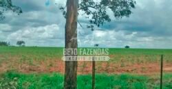 Fazenda à Venda Produtiva de 750 Alqueires à Beira do Rio | Presidente Prudente/SP