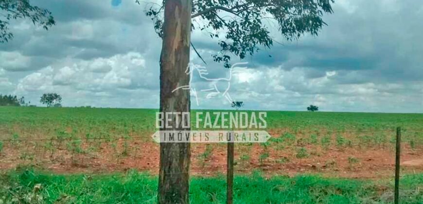 Fazenda à Venda Produtiva de 750 Alqueires à Beira do Rio | Presidente Prudente/SP