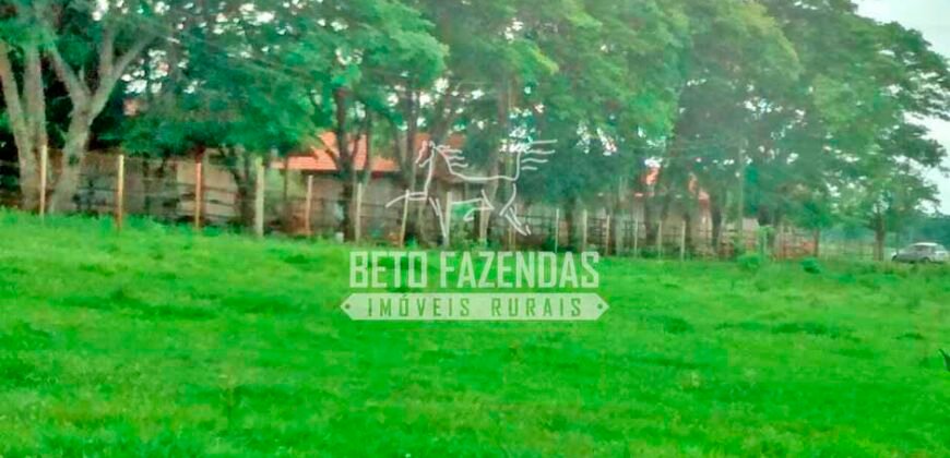 Fazenda à Venda Produtiva de 750 Alqueires à Beira do Rio | Presidente Prudente/SP