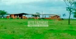 Fazenda à Venda Produtiva de 750 Alqueires à Beira do Rio | Presidente Prudente/SP