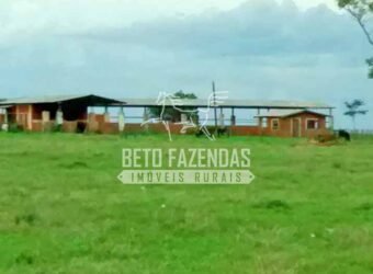 Fazenda à Venda Produtiva de 750 Alqueires à Beira do Rio | Presidente Prudente/SP