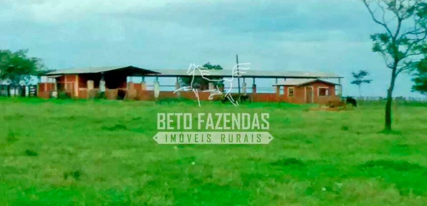 Fazenda à Venda Produtiva de 750 Alqueires à Beira do Rio | Presidente Prudente/SP