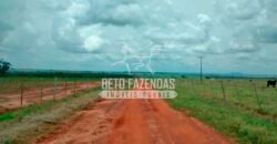 Fazenda à Venda Produtiva de 750 Alqueires à Beira do Rio | Presidente Prudente/SP