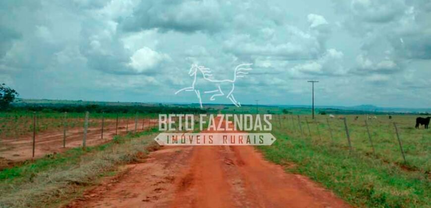 Fazenda à Venda Produtiva de 750 Alqueires à Beira do Rio | Presidente Prudente/SP