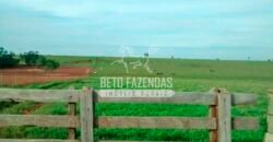 Fazenda à Venda Produtiva de 750 Alqueires à Beira do Rio | Presidente Prudente/SP