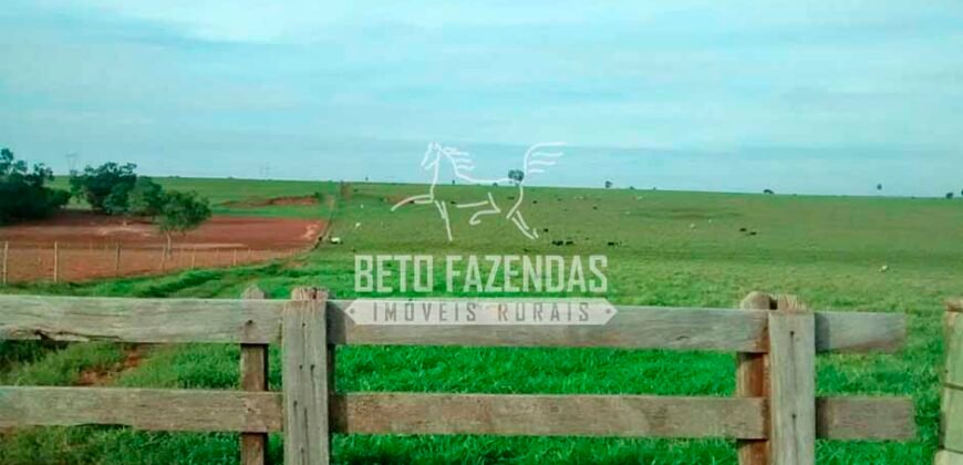 Fazenda à Venda Produtiva de 750 Alqueires à Beira do Rio | Presidente Prudente/SP