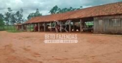 Fazenda à Venda Produtiva de 750 Alqueires à Beira do Rio | Presidente Prudente/SP