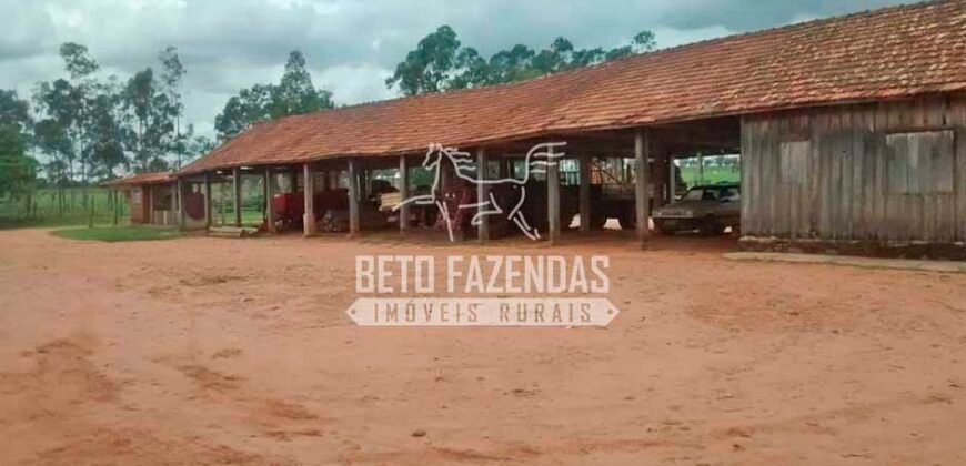 Fazenda à Venda Produtiva de 750 Alqueires à Beira do Rio | Presidente Prudente/SP